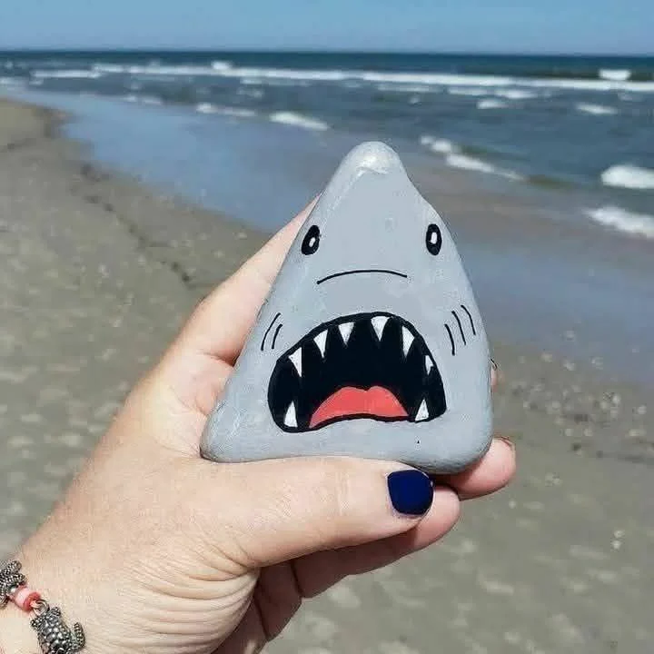 shark-painted-rock